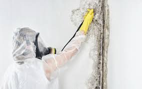 Mold Remediation for Vacation Homes in Old Westbury, NY